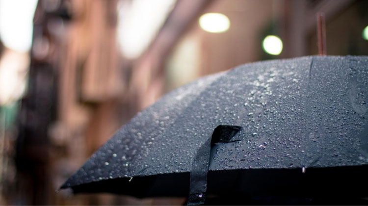 When It Rains Pollution, Grab Your Umbrella