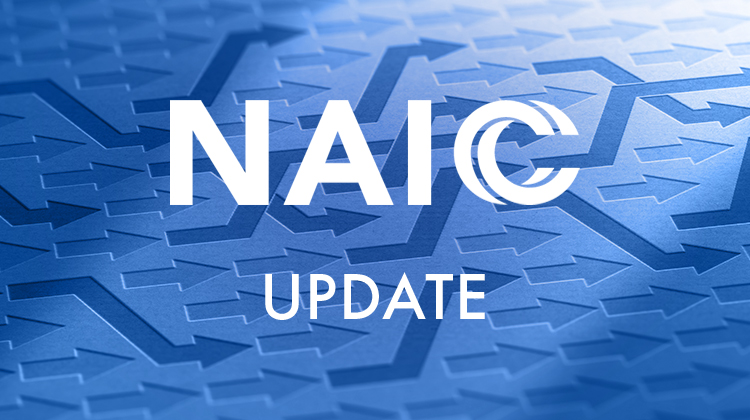 US NAIC Update: Restructuring Mechanisms (E) Working Group