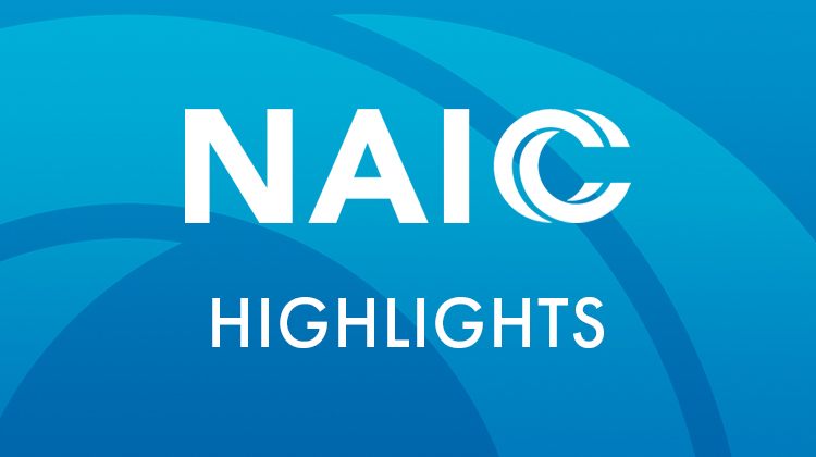 NAIC Summer 2023 National Meeting Highlights